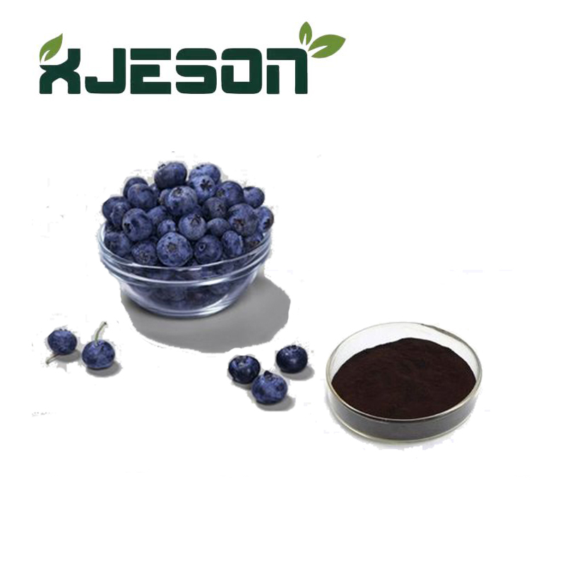 High Quality Blueberry Extract High Quality Blueberry Extract