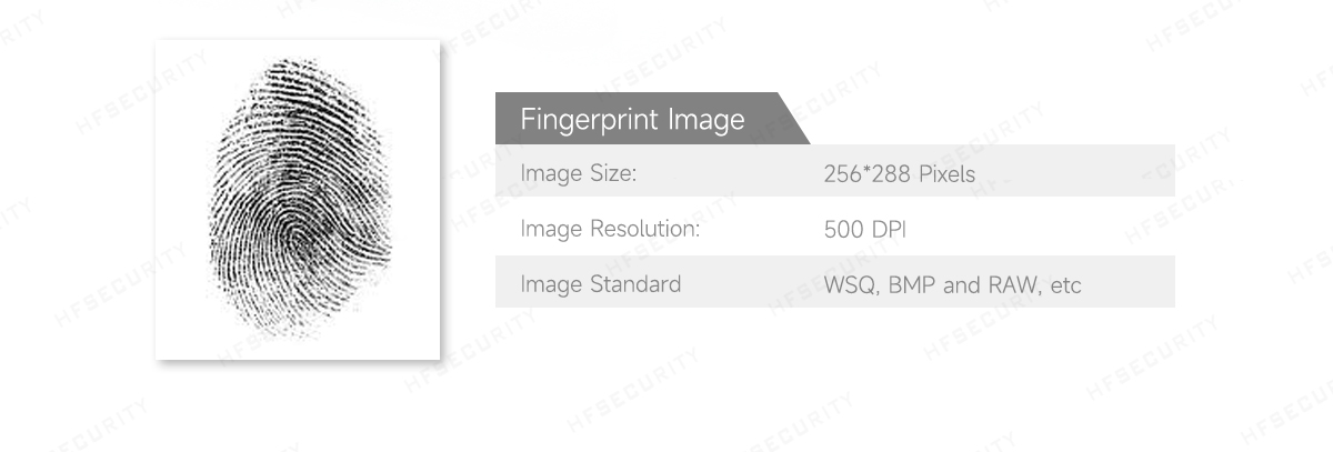 HF4000 USB Optical Fingerprint Scanner HF4000 USB Optical Fingerprint Scanner