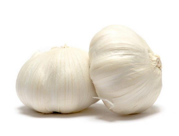 Fresh Normal Single White Garlic