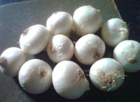 Fresh White Garlic