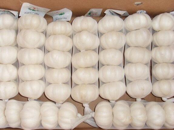 Fresh Normal White Garlic