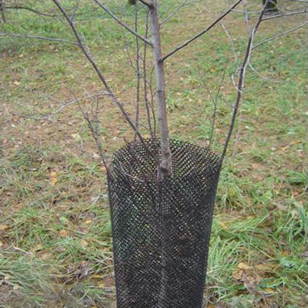 Rede de árvore de plástico Plastic Tree Netting