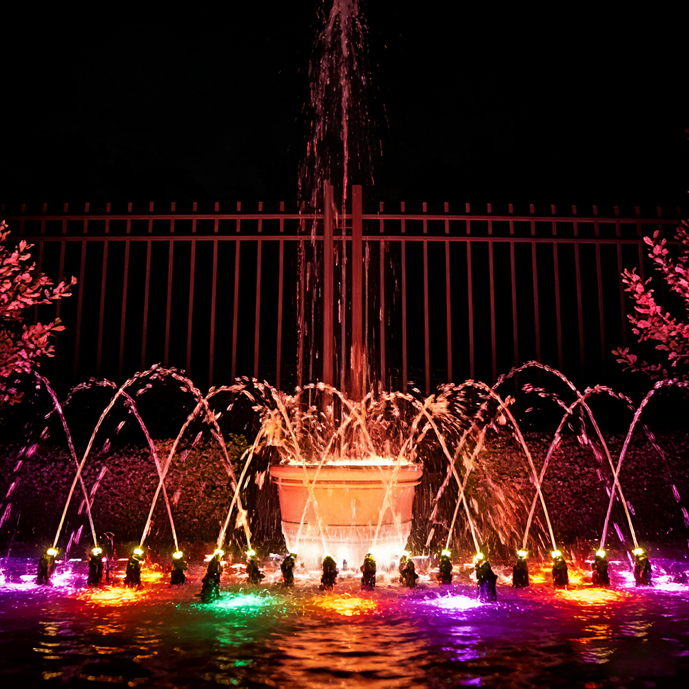 water fountain water fountain