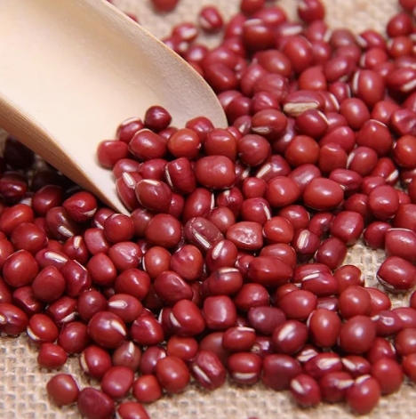 Kidney Bean Powder Kidney Bean Powder