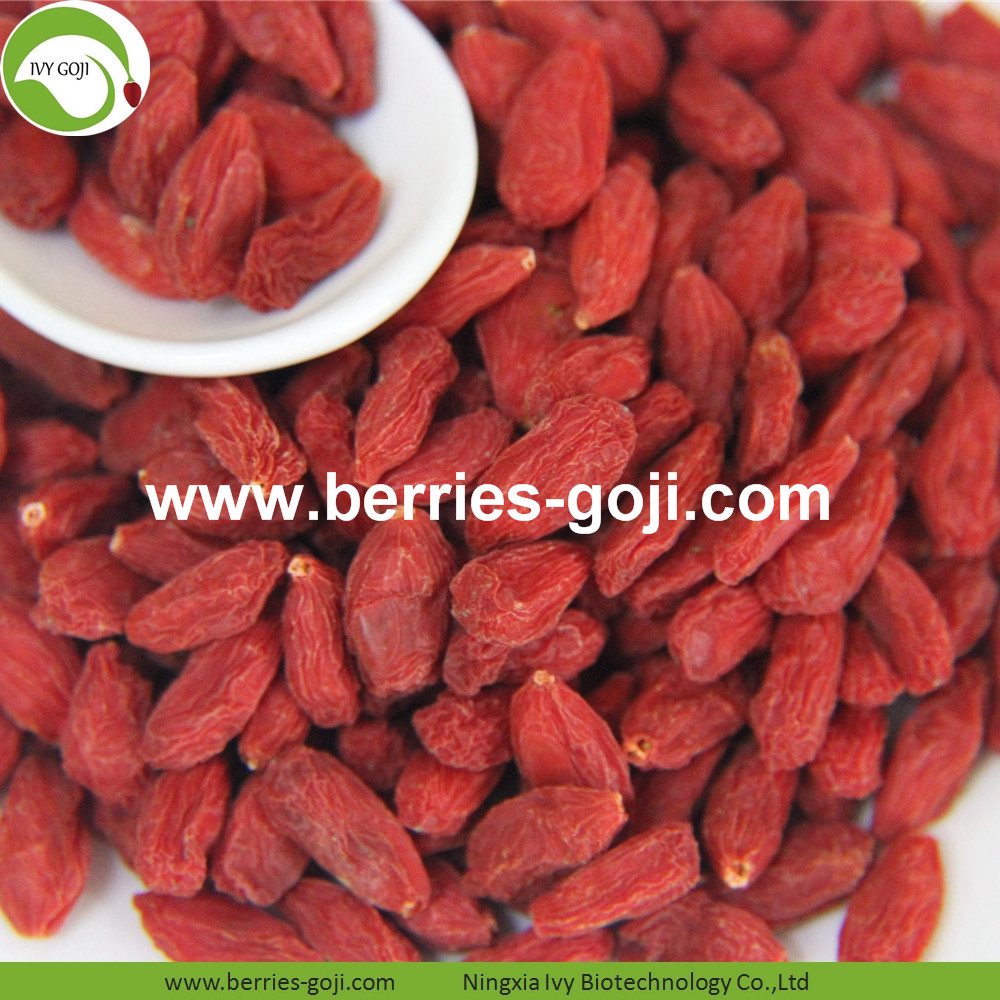 goji berry goji berry