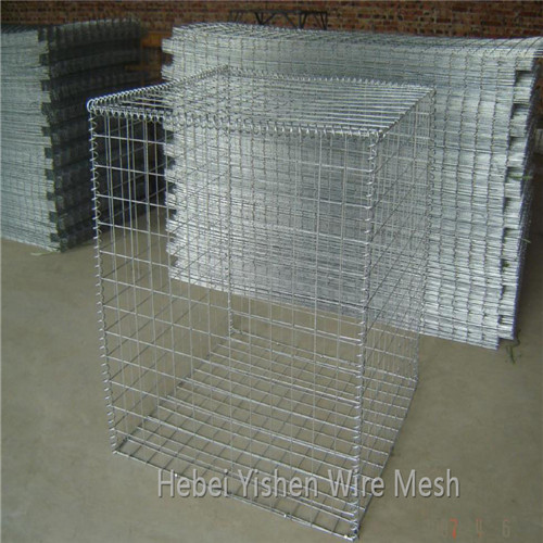welded wire mesh1
