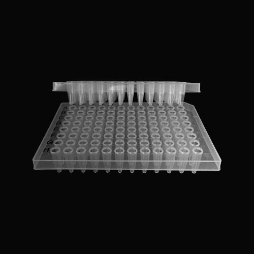 Best 0.2ml 96-Well PCR plate Half Skirt Manufacturer 0.2ml 96-Well PCR plate Half Skirt from China
