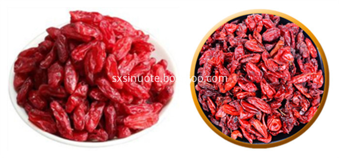 Dogwood Extract Dogwood Extract