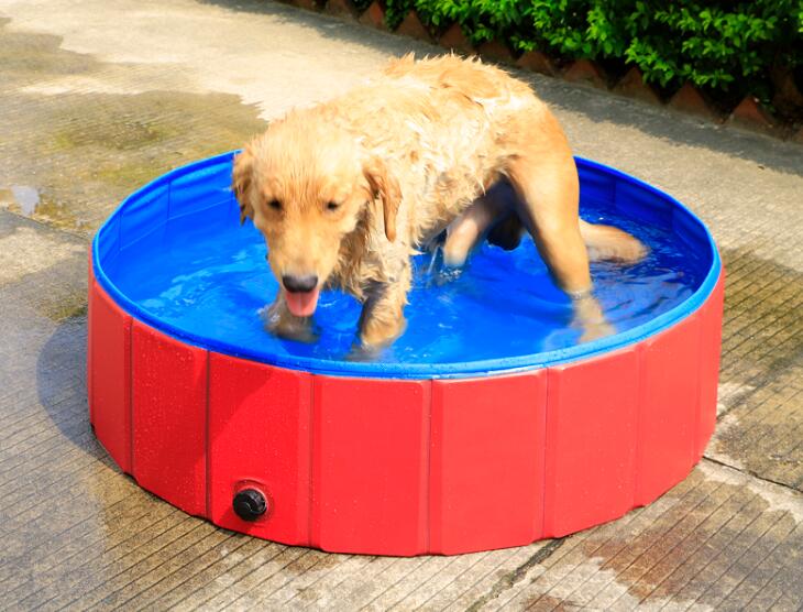 Pet Bath Tub & Pool products.We can customize the Pet Bath Tub & Dog Pool totally according to your requirements