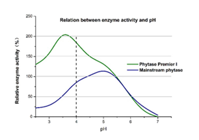 ฟีด - Nutrizyme PHY-P-1 feed-Nutrizyme PHY-P-1