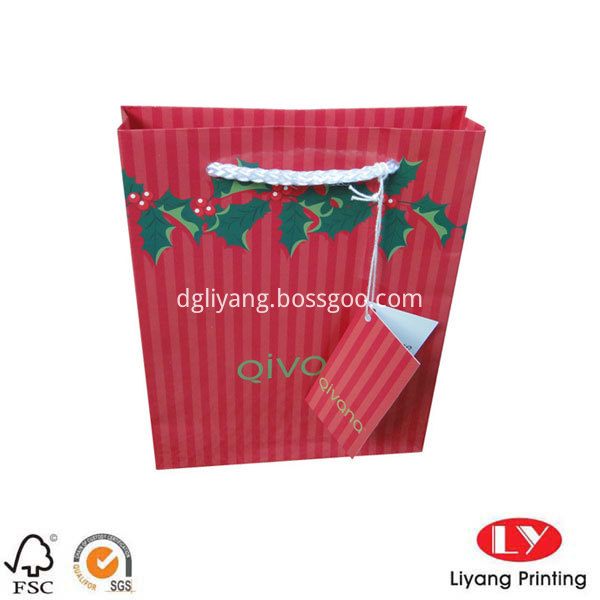 Paper Gift Bag