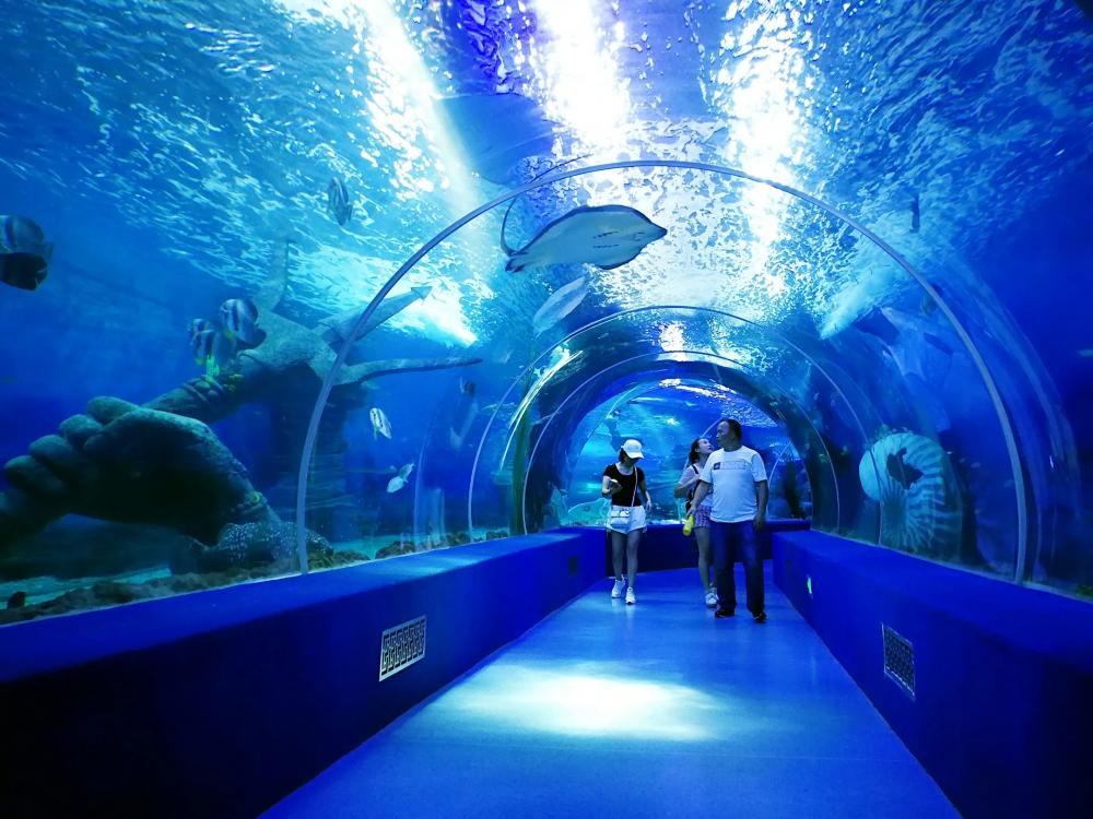 Acrylic Undersea Tunnel