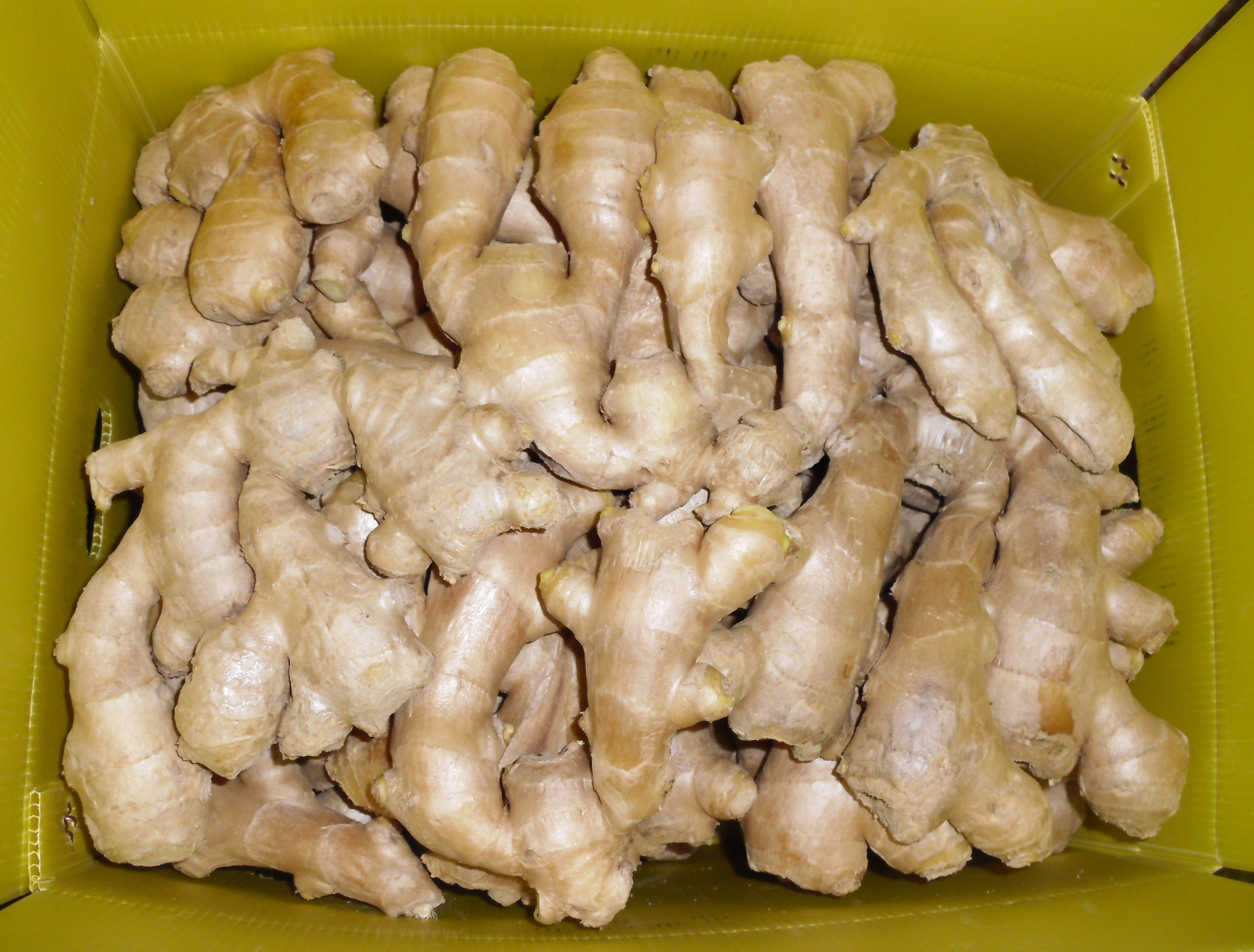 air dried ginger 3