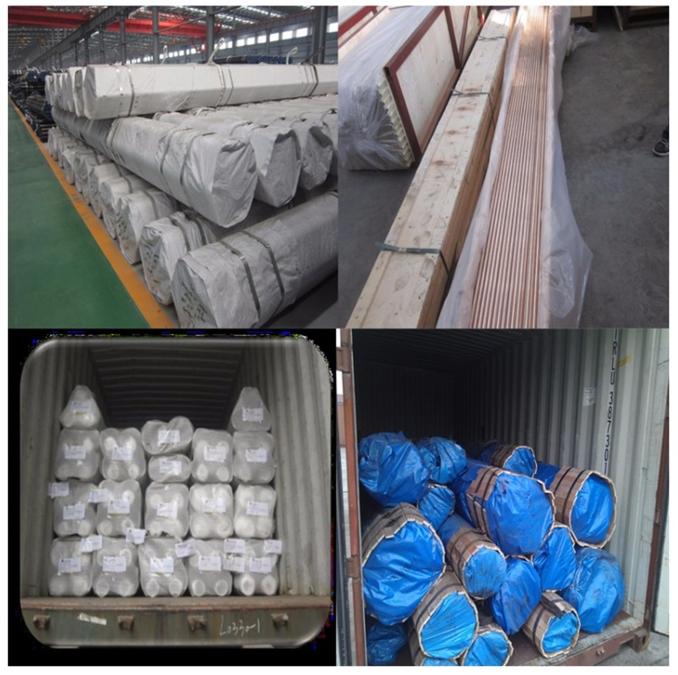 Stainless Steel Tube 13 Stainless Steel Tube 13