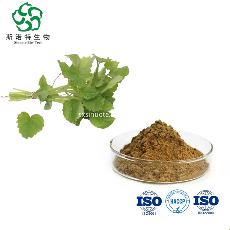 Lemon Balm Extract Lemon Balm Extract