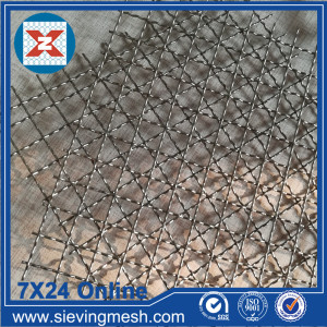 SS 304 Crimped Wire Net