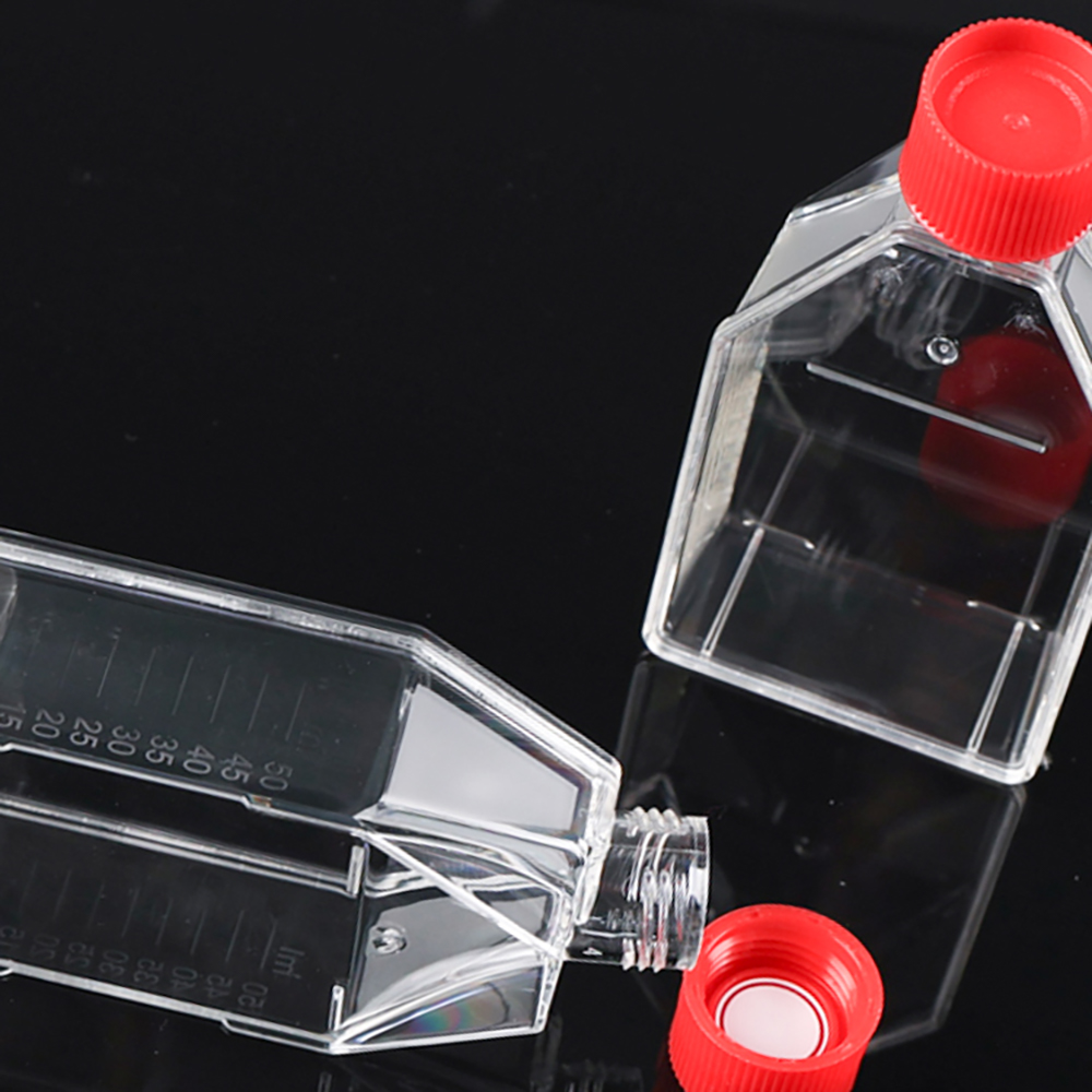 25 Ml Cell Culture Flask
