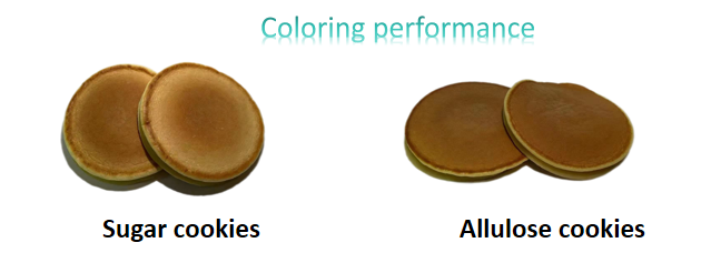 9c7a009c-e697-4ebc-bb13-e77b05b03317 9c7a009c-e697-4ebc-bb13-e77b05b03317