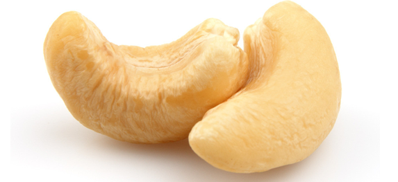 Cashew Nut Kernel