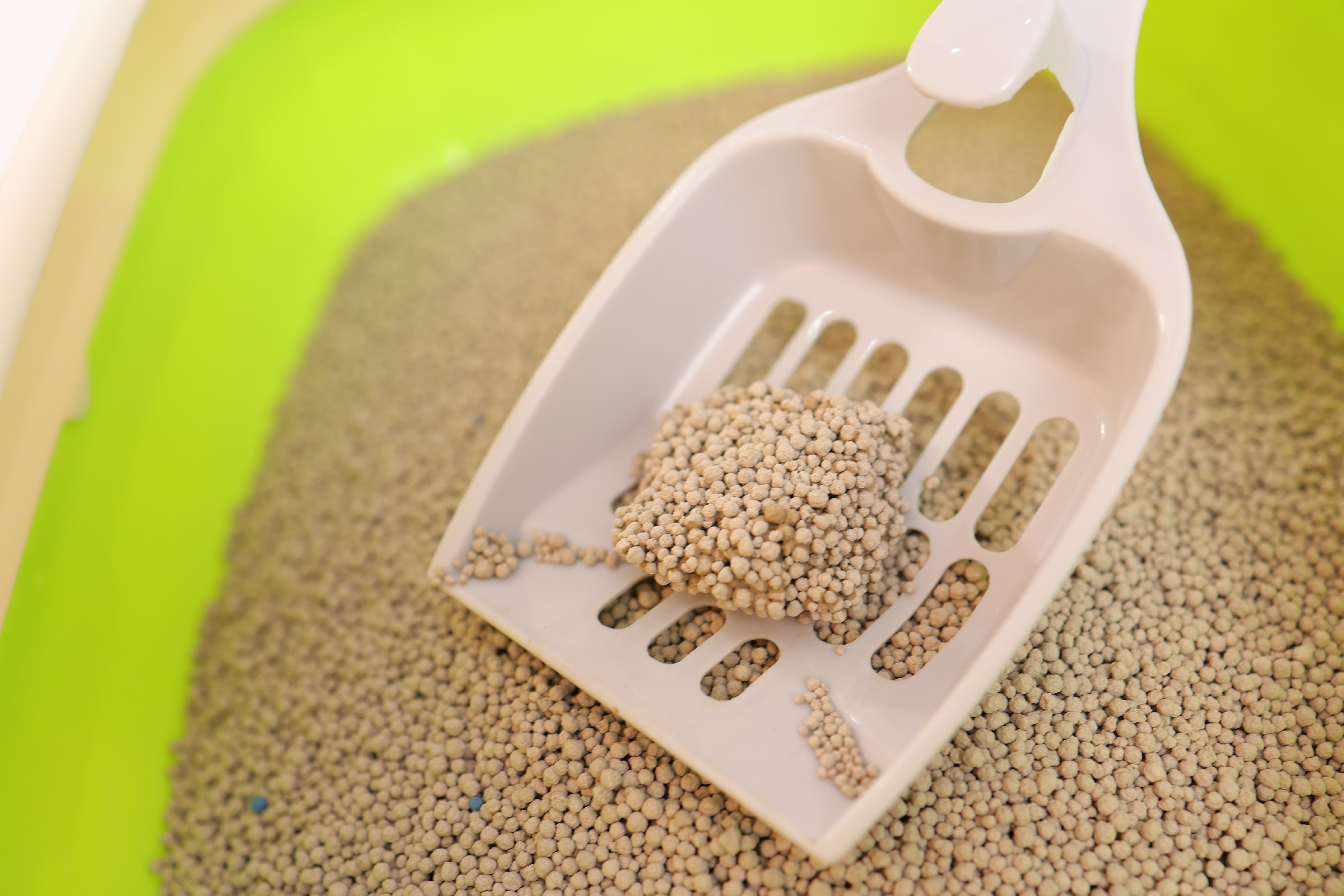 2.0MM Deodorizing Colored Ball Sand 2.0MM Deodorizing Colored Ball Sand
