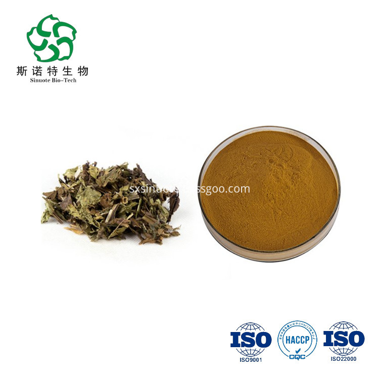 Lycopi Extract Lycopi Extract