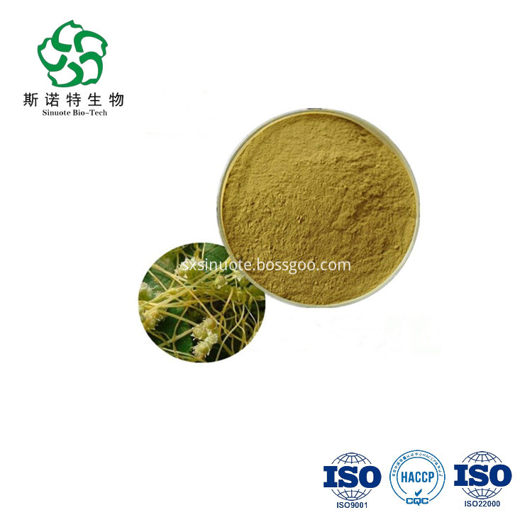 Semen Cuscuta Extract Semen Cuscuta Extract