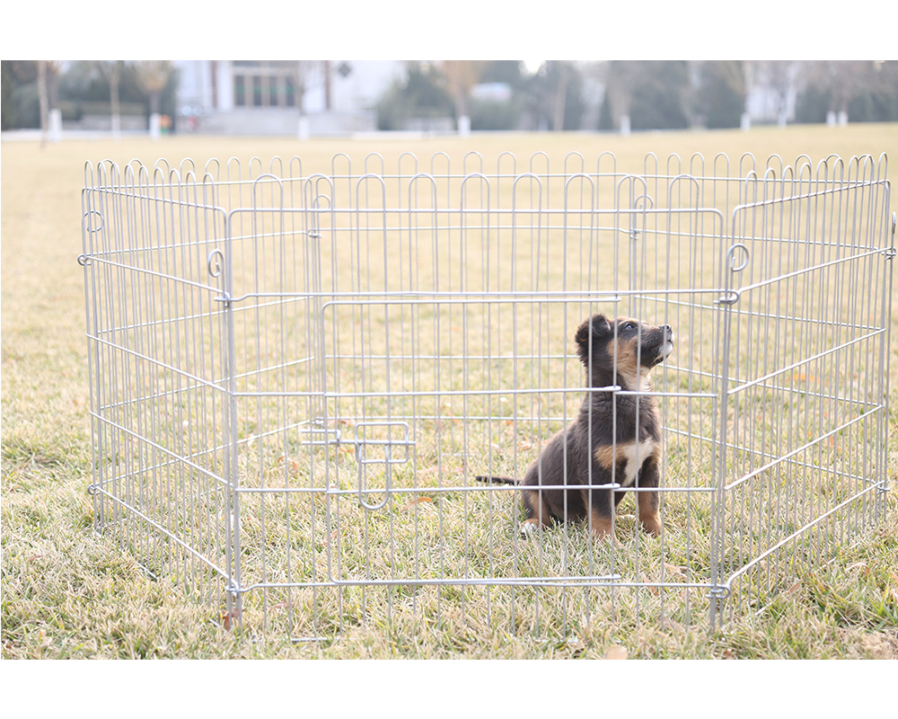 6 och 8 stycken hundspetspenna 6 And 8 Piece Dog Playpen