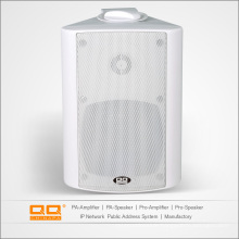 Wall Speaker China Wall Speaker Supplier Manufacturer