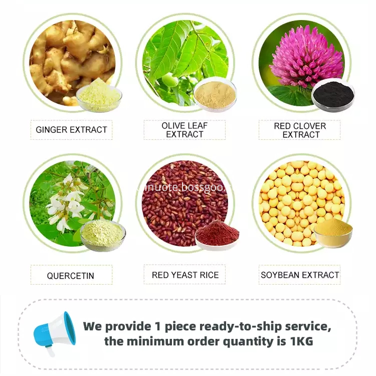 Plant Extract Plant Extract