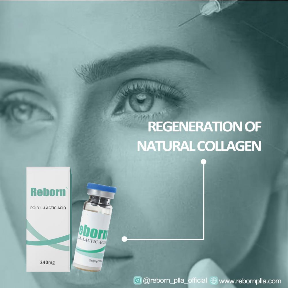 Regeneration of natural collagen.jpg