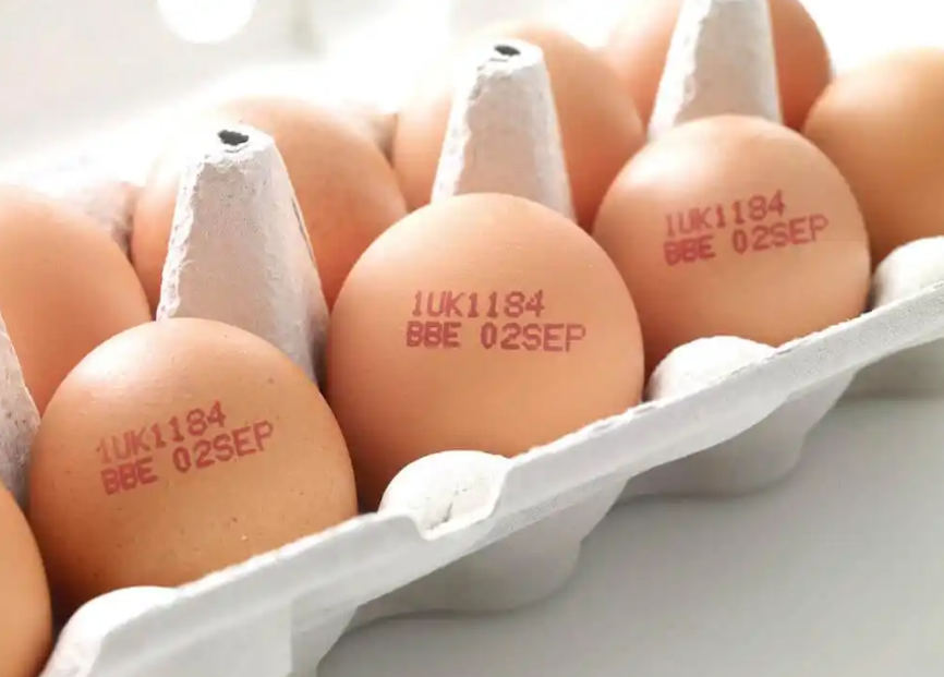 Egg Marking Egg Marking