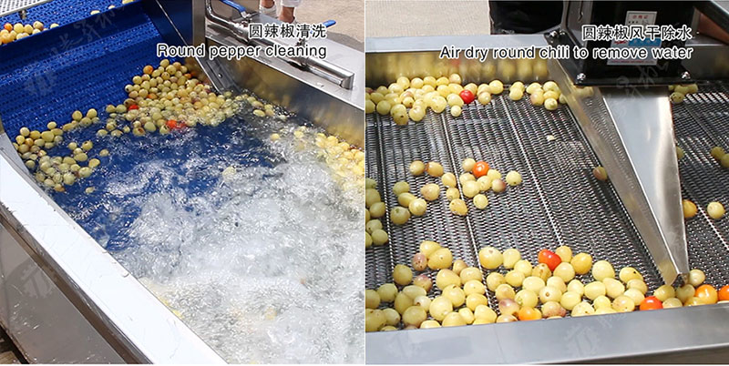 vegetable processing production line vegetable processing production line