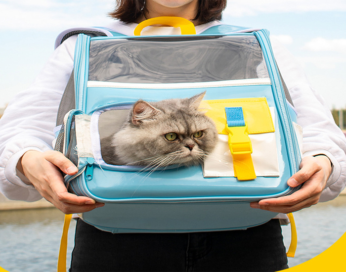 Pet Travel Carrier