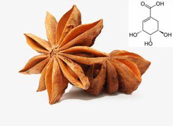 Star Anise Shikimic Acid (1) Star Anise Shikimic Acid (1)