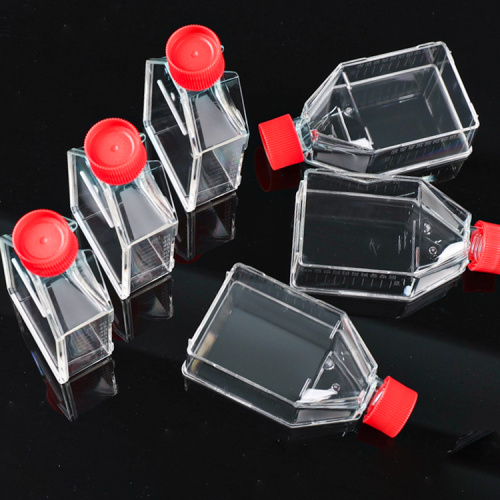 Best Medical Disposable T25 cell culture flasks Manufacturer Medical Disposable T25 cell culture flasks from China