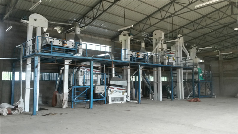 seed cleaning plant