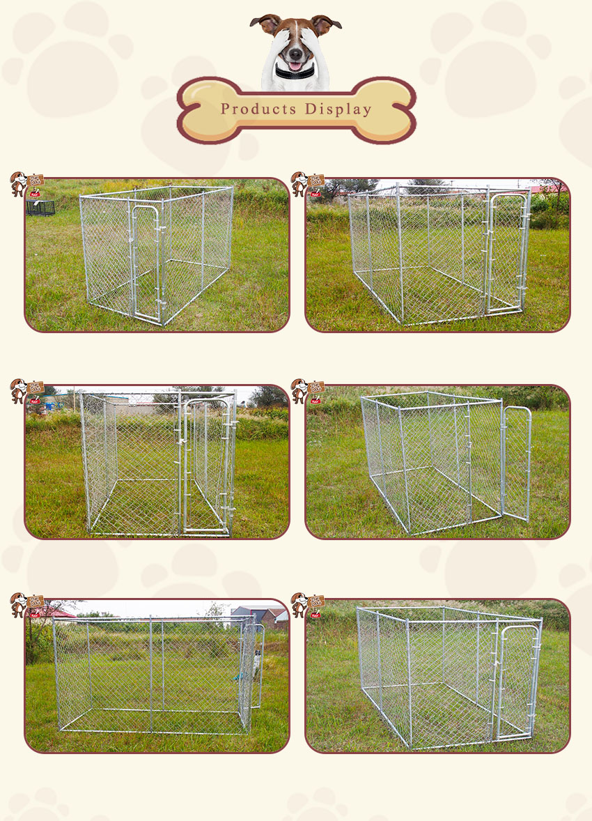 제품 전시 체인 사슬 개 개집 products display-Chain ling dog kennel