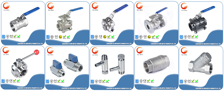 SS Valves