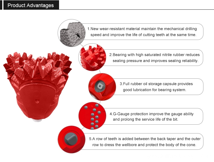 Advantage Webp Advantage Webp