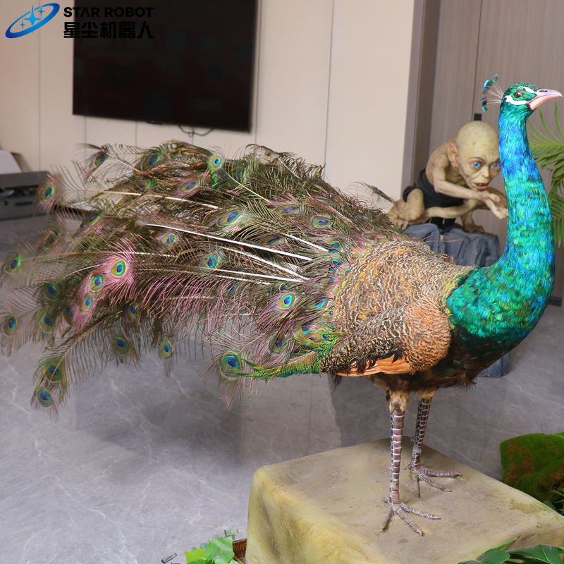peacock1 peacock1