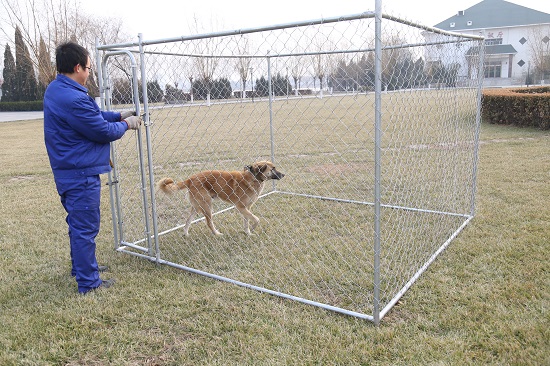 La perrera de perro de metal The Metal Dog Kennel