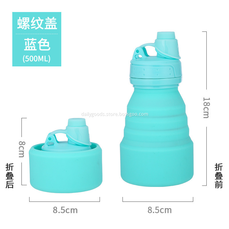H06 bottle (12) H06 bottle (12)