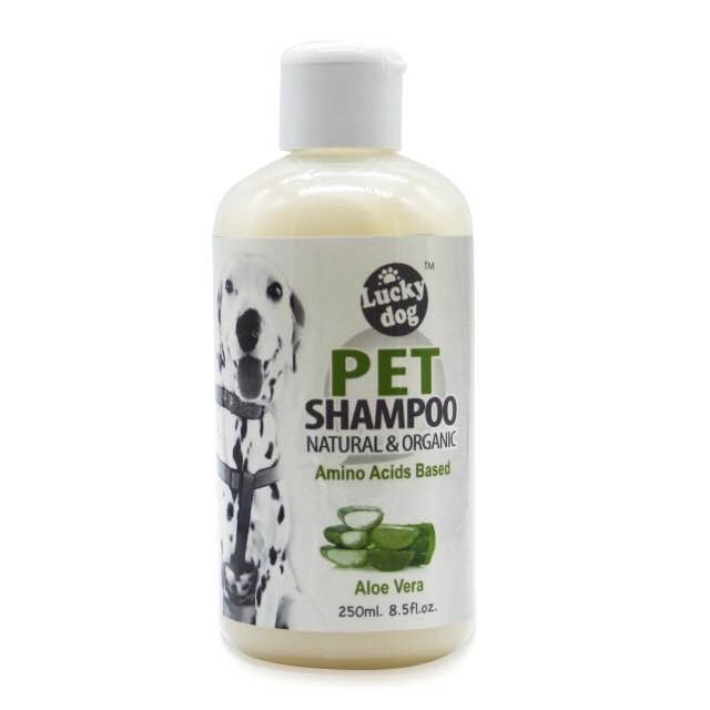 Champô para animais de estimação Pet Shampoo