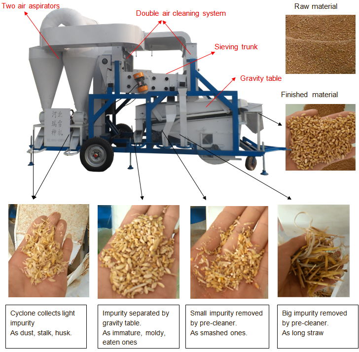 combined seed cleaning machine