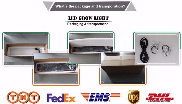 Greenhous LED Grow Lights
