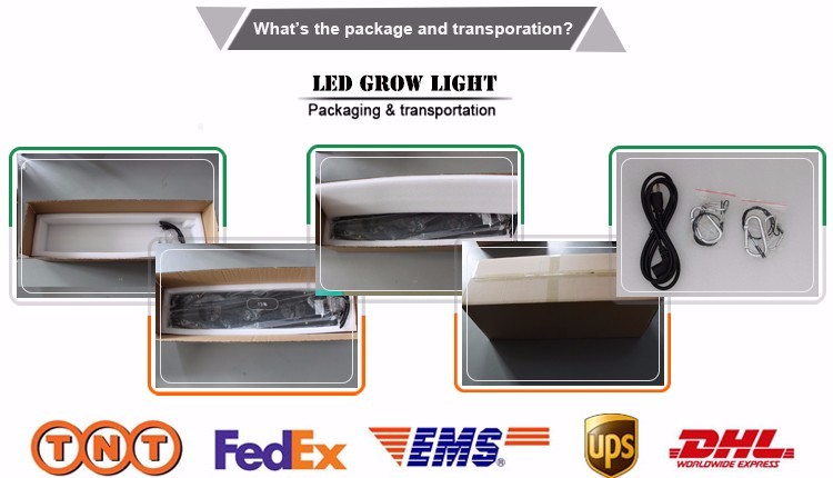 Indoor LED Grow Light