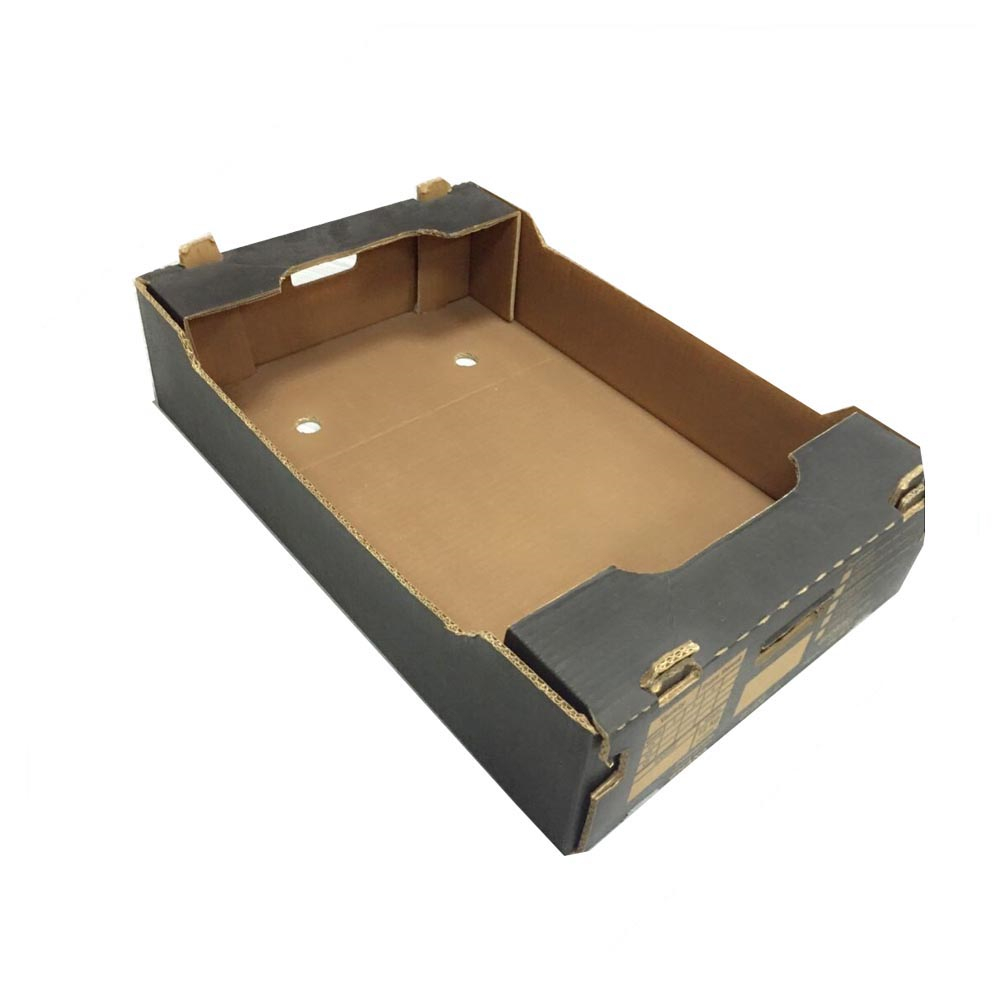 Karton owocowy Opakowanie z tektury falistej Fruit Vegetable Packaging Carton Corrugated Shipping Box