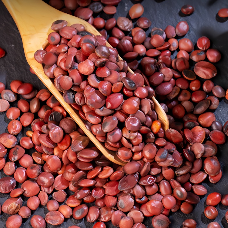 Spine Date Seed3 Spine Date Seed3
