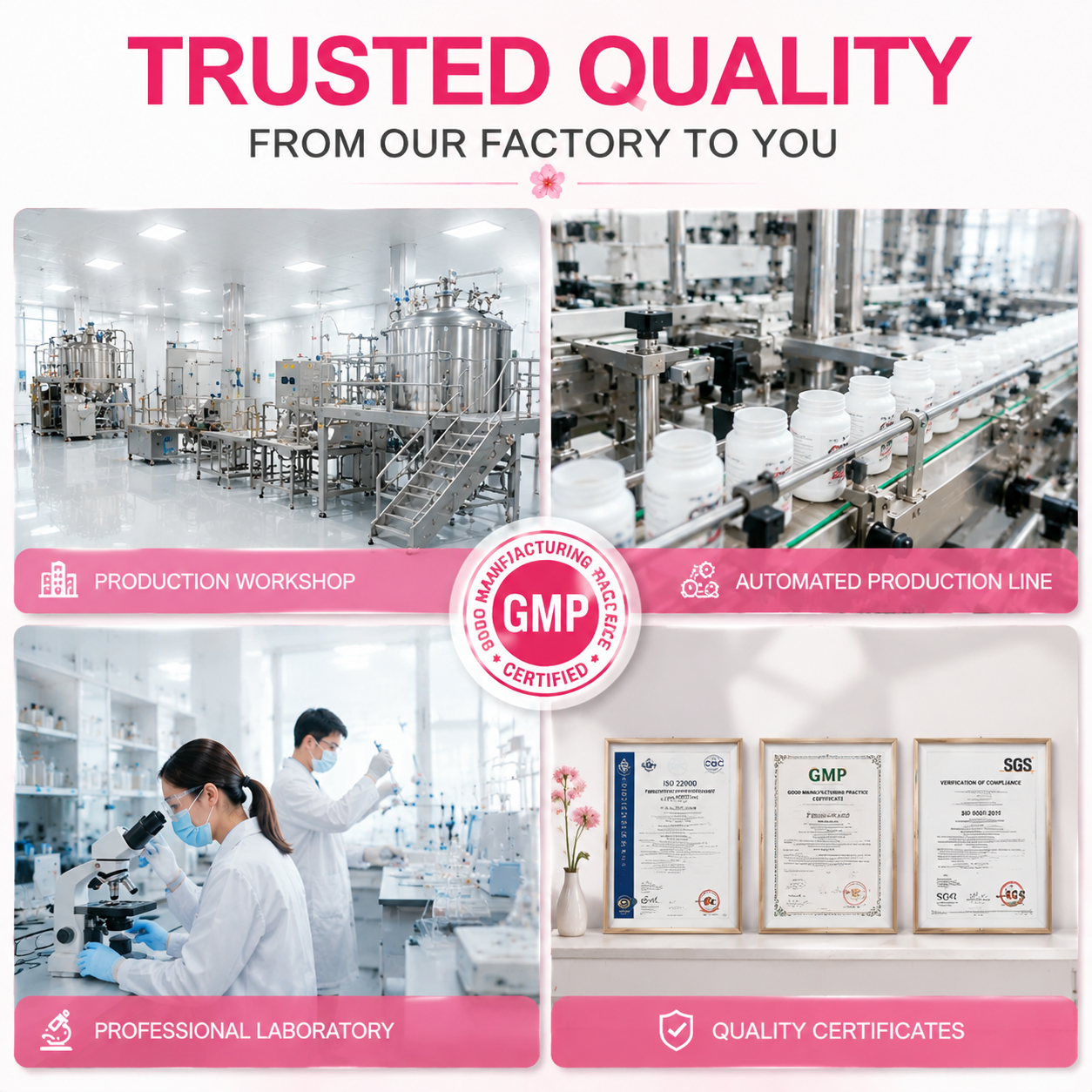Multi Collagen Peptides Powder 6 Multi Collagen Peptides Powder 6