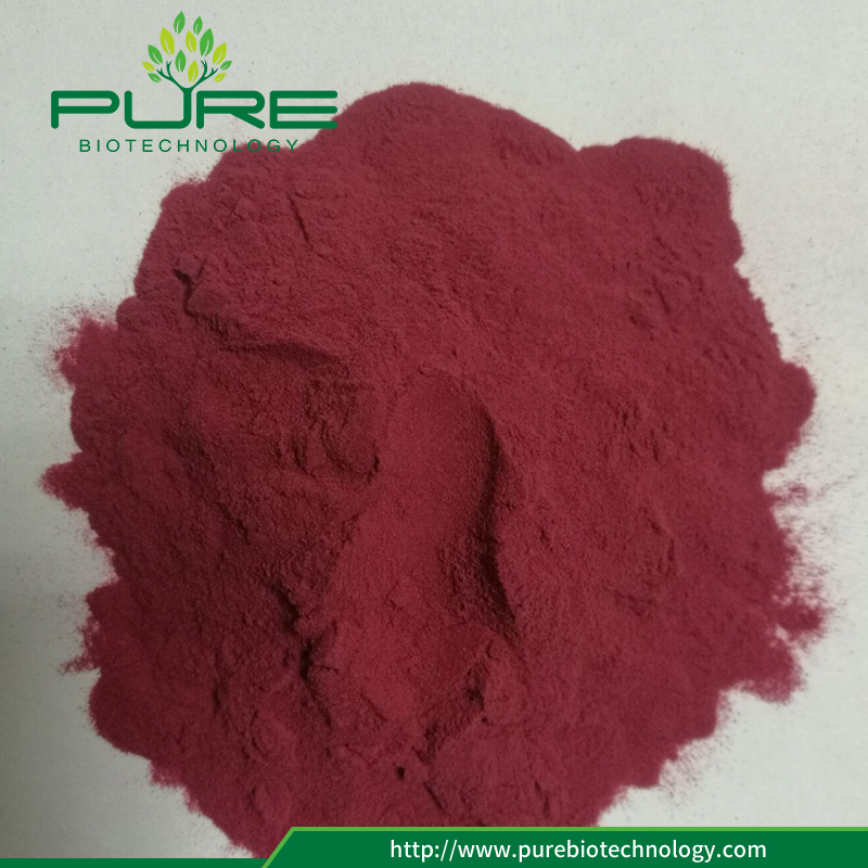 สารสกัดจากแครนเบอร์รี่ 10: 1 10:1 cranberry extract